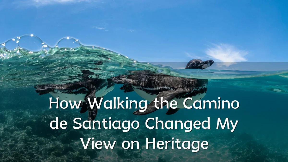 How Walking the Camino de Santiago Changed My View on Heritage