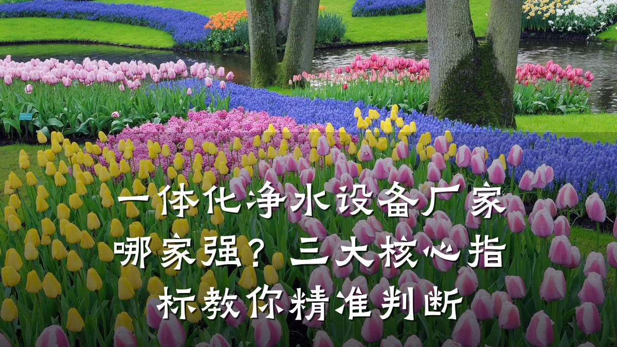 一体化净水设备厂家哪家强?三大核心指标教你精准判断