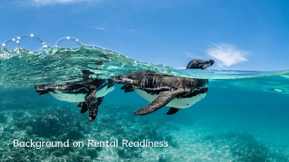 Background on Rental Readiness