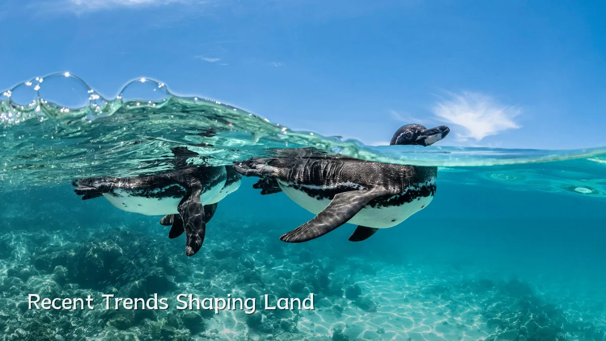 Recent Trends Shaping Land