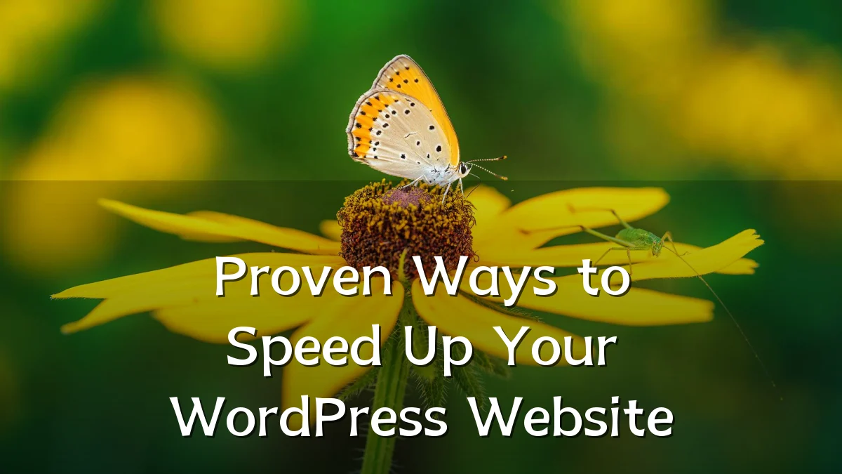 Proven Ways to Speed Up Your WordPress Website