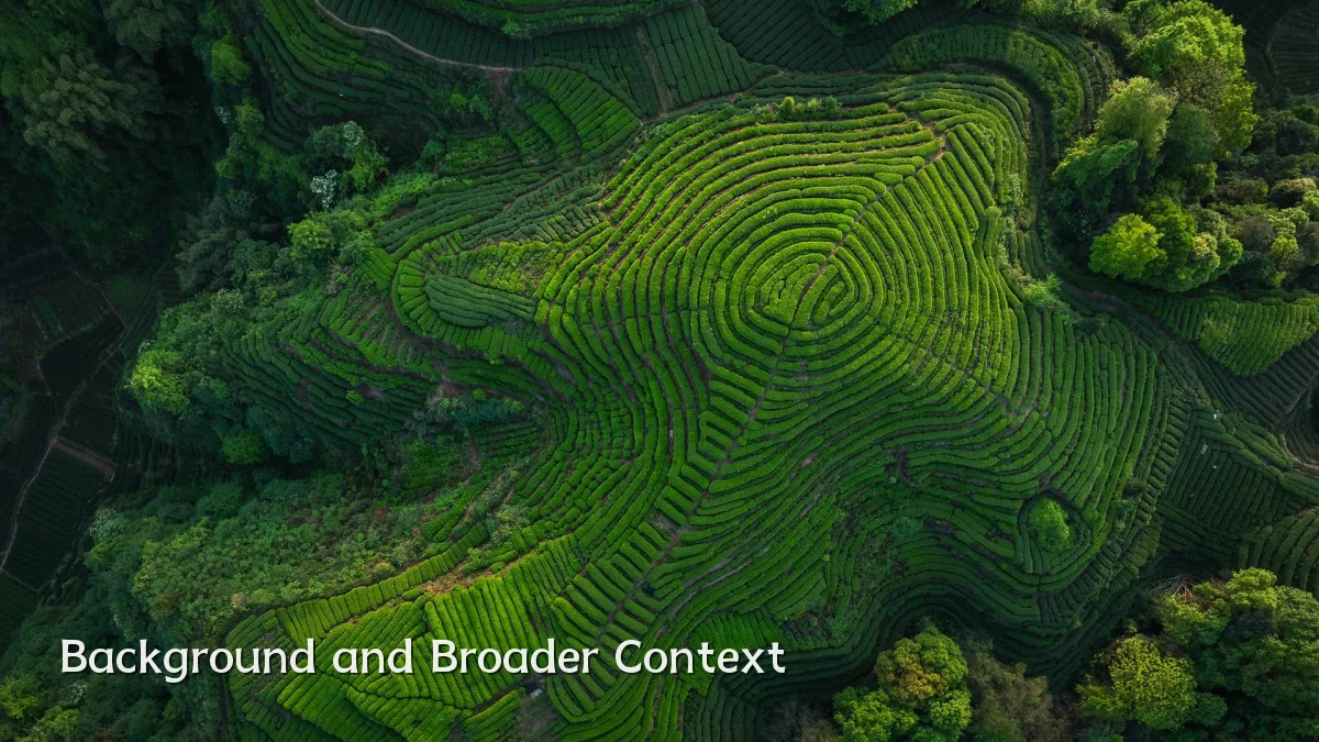 Background and Broader Context