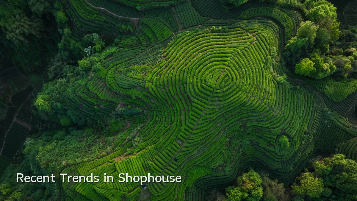 Recent Trends in Shophouse
