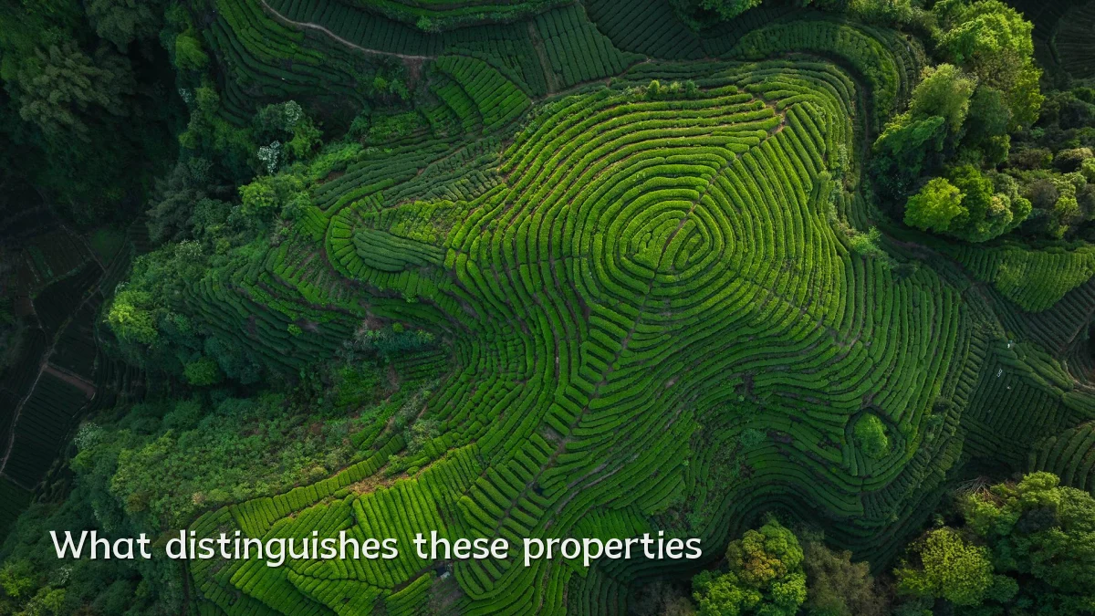 What distinguishes these properties