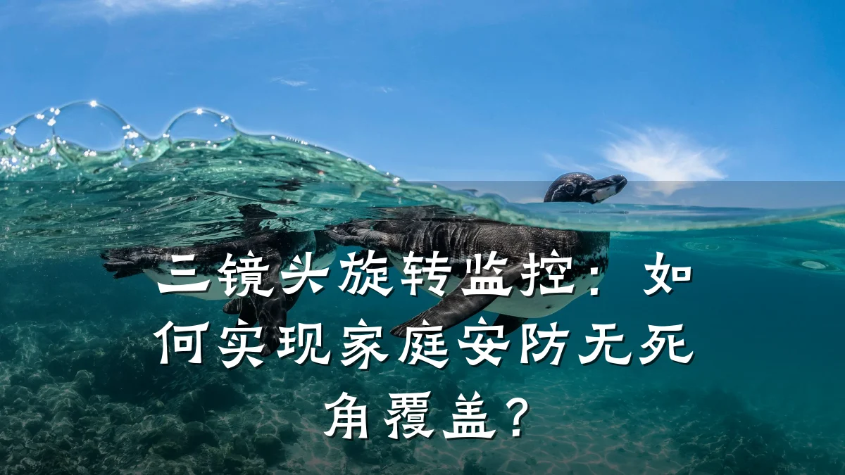 三镜头旋转监控:如何实现家庭安防无死角覆盖?