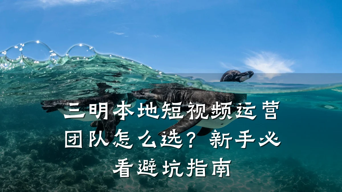 三明本地短视频运营团队怎么选?新手必看避坑指南