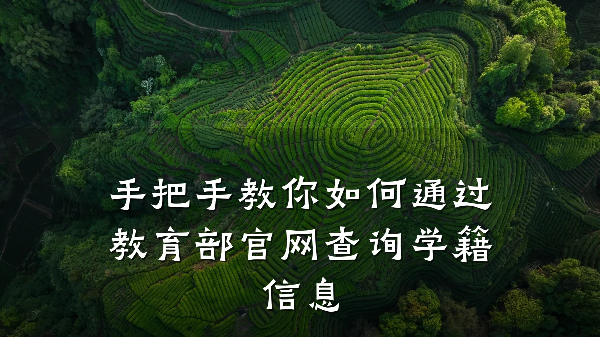 手把手教你如何通过教育部官网查询学籍信息